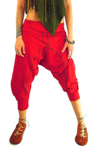 Jodhpur Aladin Pants